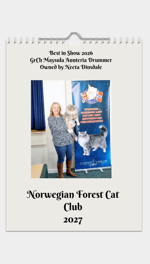 NFCC 2027 calendar cover — Best in Show 2026, GrCh Maysula Annteria Drummer